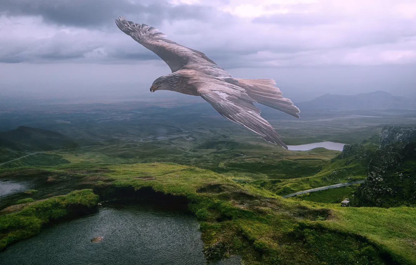 Фото обои зелень, лето, небо, облака, полет, горы, природа, туман