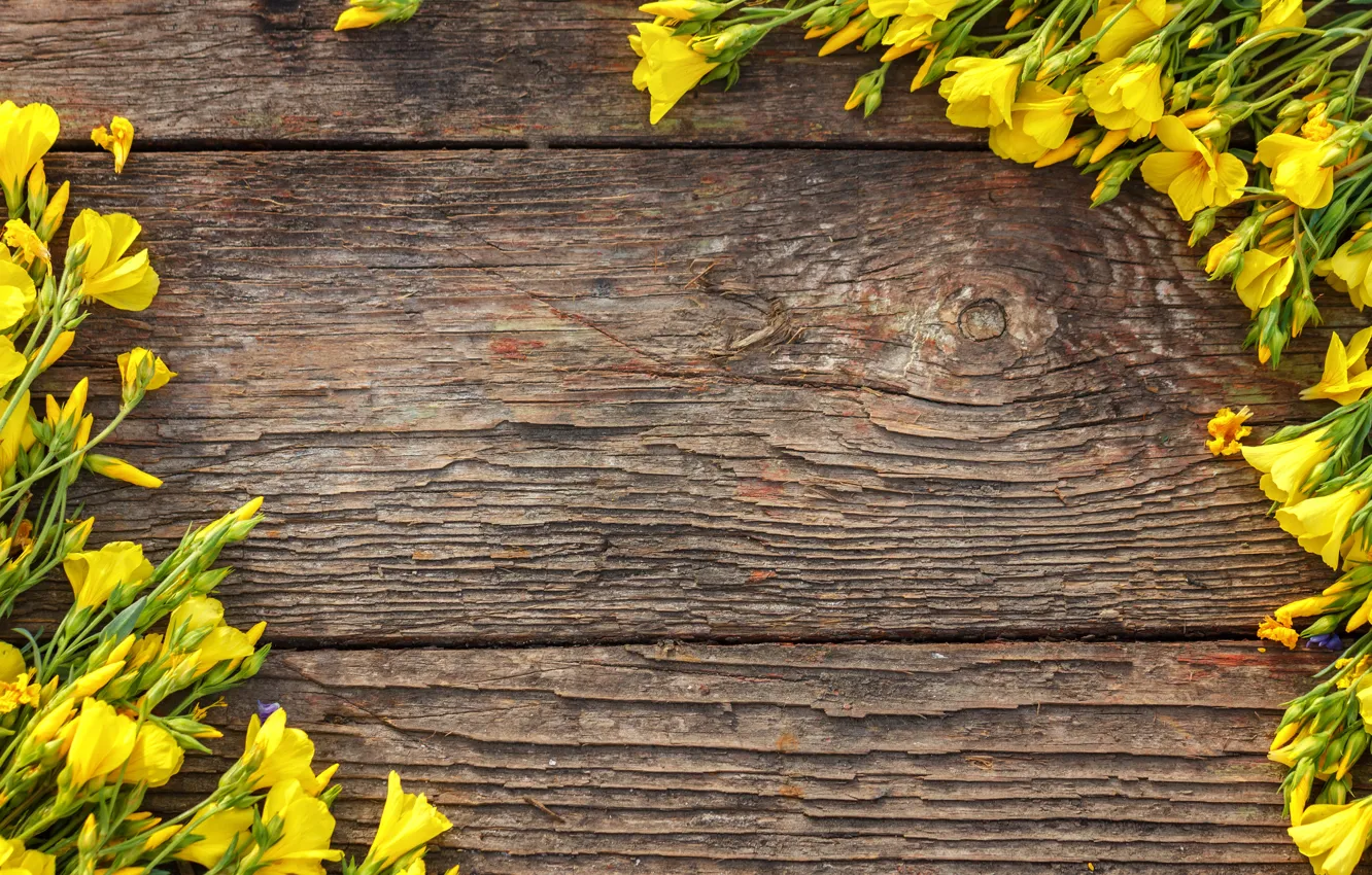 Фото обои цветы, желтые, yellow, wood, flowers, spring