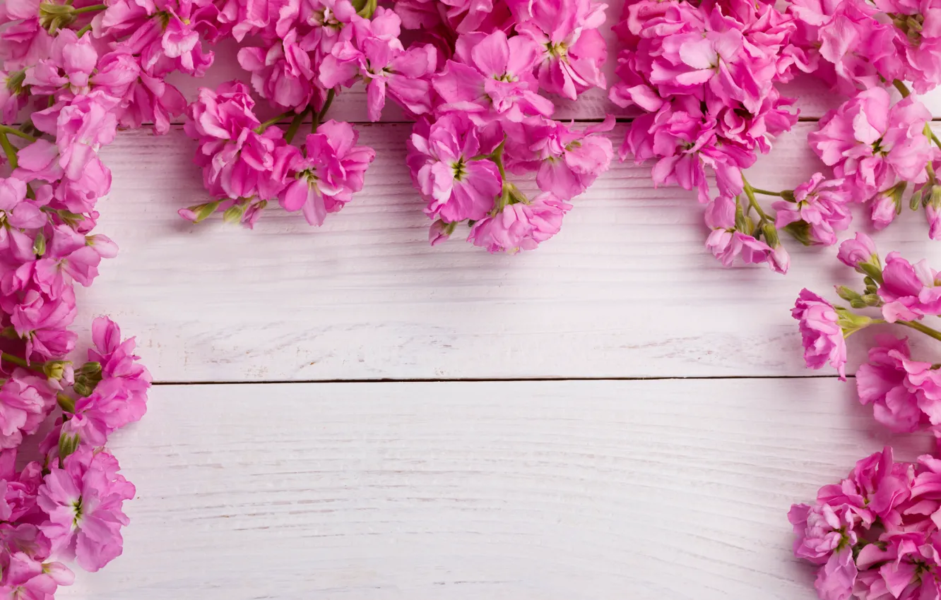 Фото обои цветы, розовые, wood, pink, flowers, spring