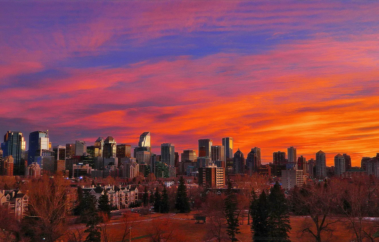 Фото обои city, Alberta, Canada, skyline, trees, sunset, park, skyscraper