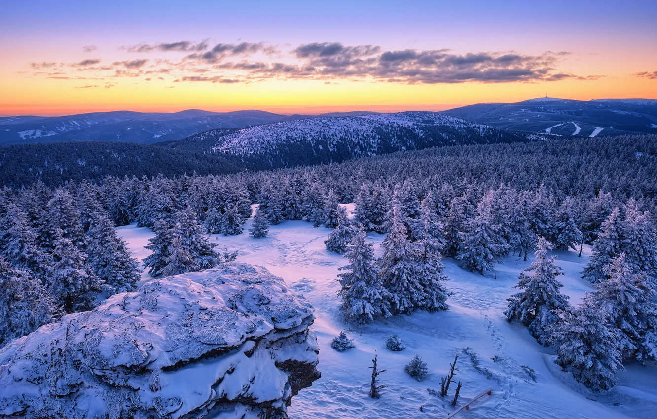 Фото обои зима, лес, снег, закат, горы, ели, Чехия, Czech Republic