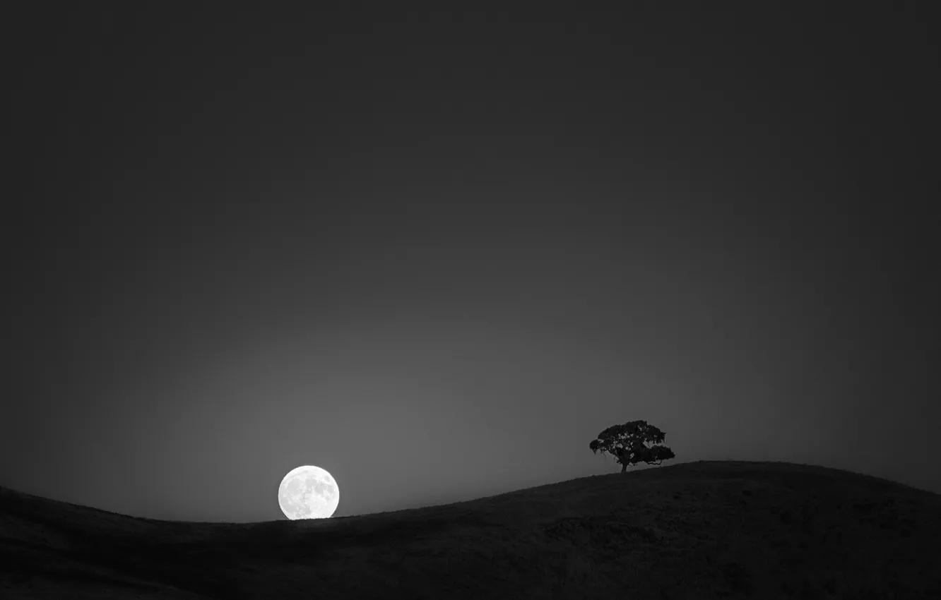 Фото обои дерево, холмы, Луна, Moon, tree, hills