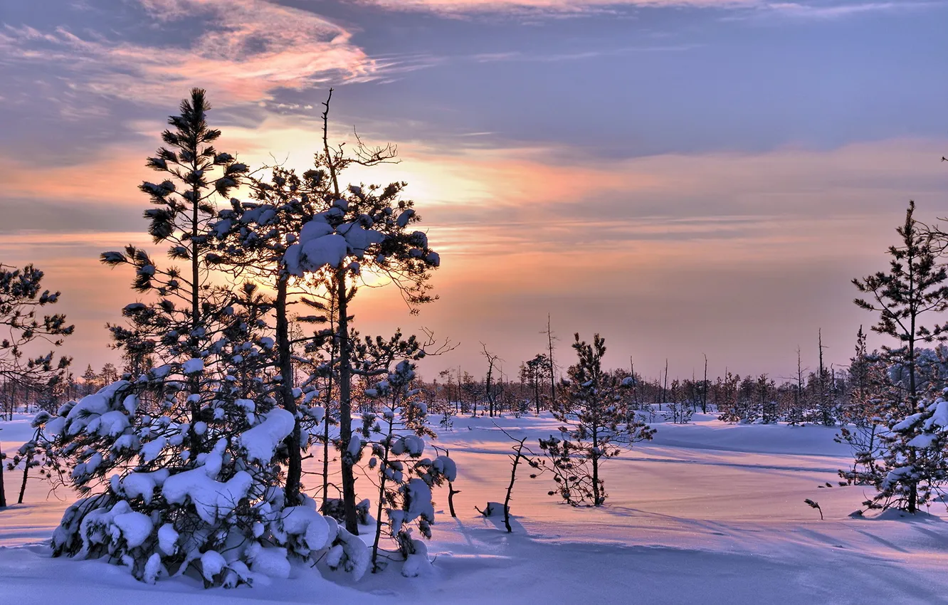 Фото обои зима, снег, пейзаж, закат