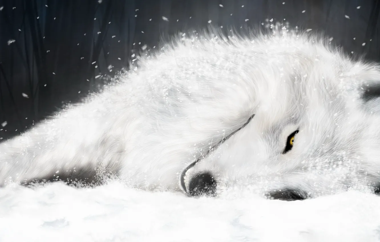 Фото обои рисунок, волк, Белый, Wolfs Rain, Kiba, supermonchi