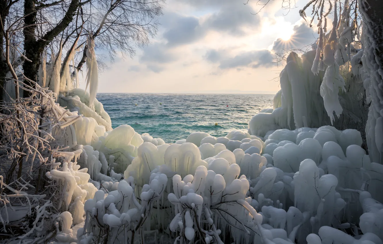Фото обои иней, море, солнце, облака, ветки, природа, берег, лёд