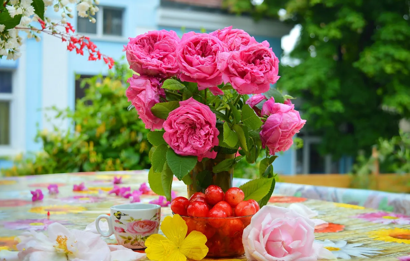 Фото обои Чашка, Черешня, Розовые розы