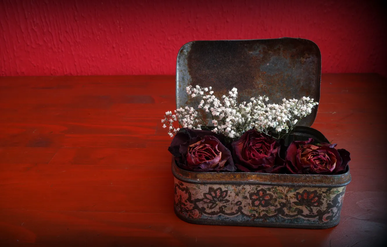 Фото обои цветы, розы, шкатулка