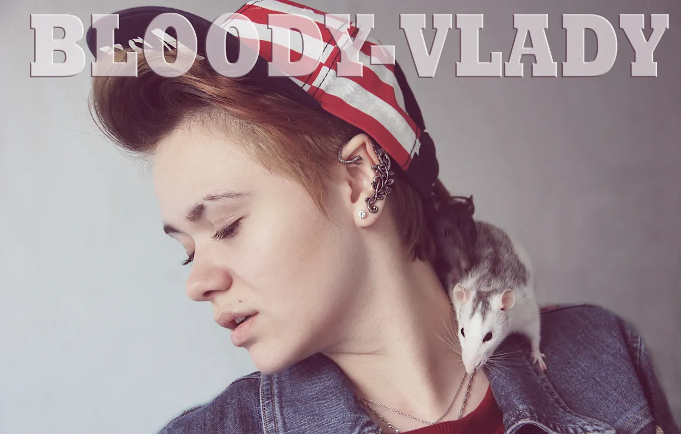 Фото обои животные, крысы, rat, hiphop, bloodyvlady, Bloody-Vlady