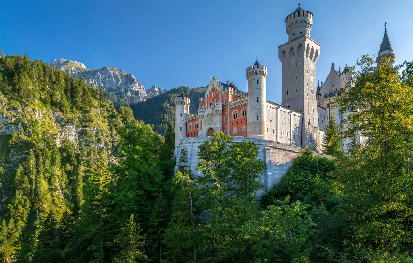 Фото обои лес, горы, замок, Германия, Бавария, Germany, Bavaria, Neuschwanstein Castle