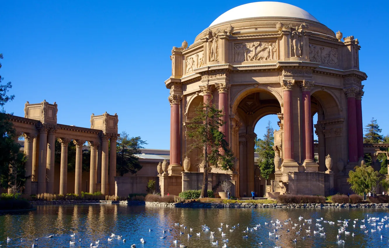 Фото обои птицы, город, пруд, парк, Калифорния, памятник, колонны, Сан-Франциско