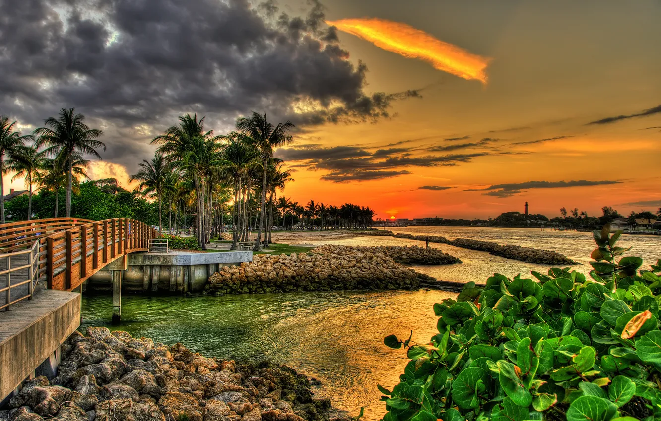 Фото обои закат, мост, пальмы, Флорида, Florida, Jupiter, Dubois Park