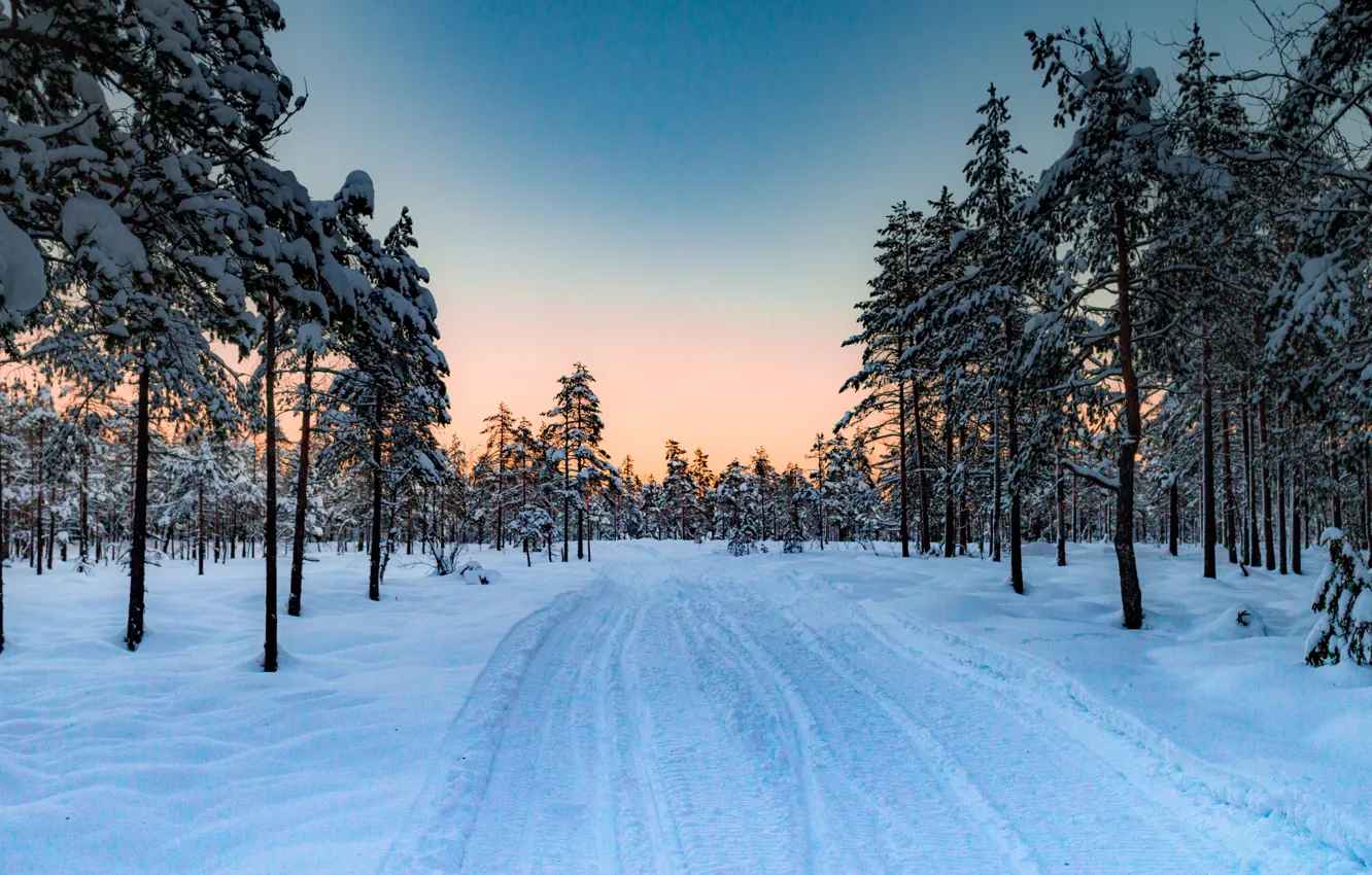 Фото обои зима, дорога, лес, снег, деревья, закат, Норвегия