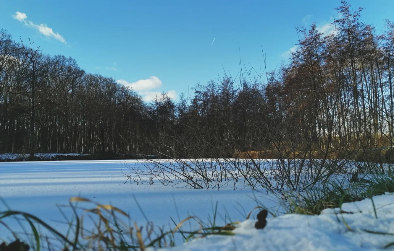Фото обои nature, cloud, Snow, lake, sun, sky blue, Trees, forrest