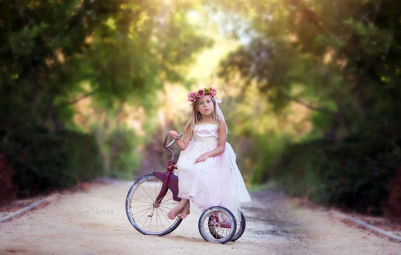 Фото обои осень, велосипед, девочка