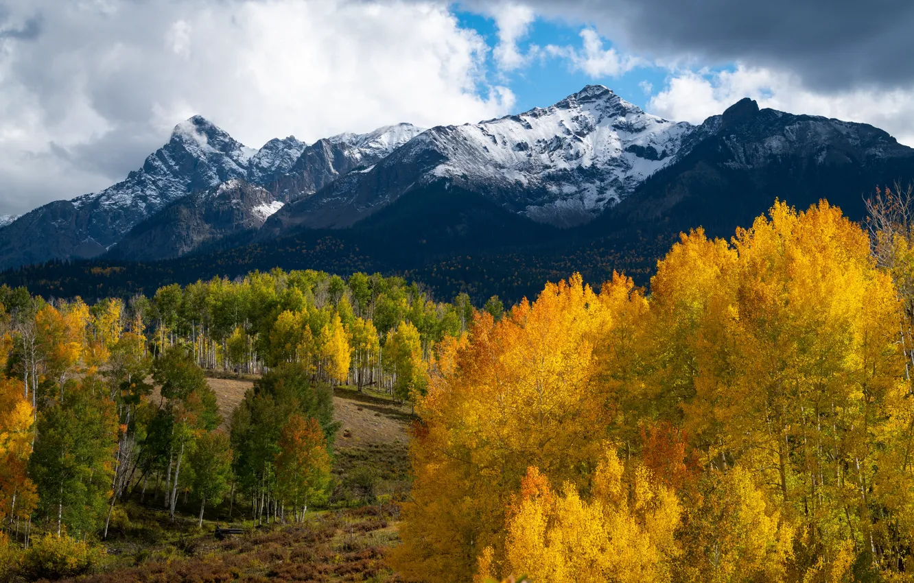 Фото обои осень, лес, пейзаж, горы, вид