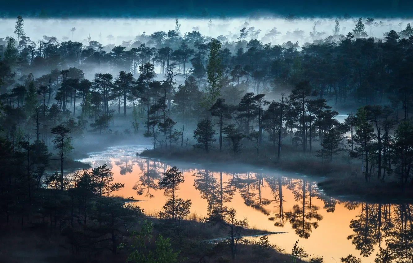 Фото обои лес, небо, природа, туман, озеро, река, леса