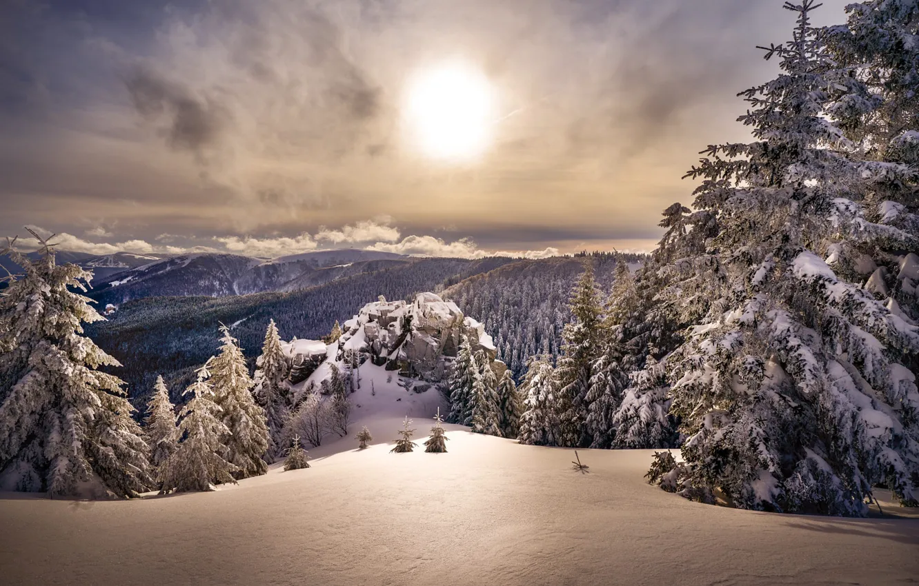 Фото обои зима, лес, небо, солнце, облака, свет, снег, горы