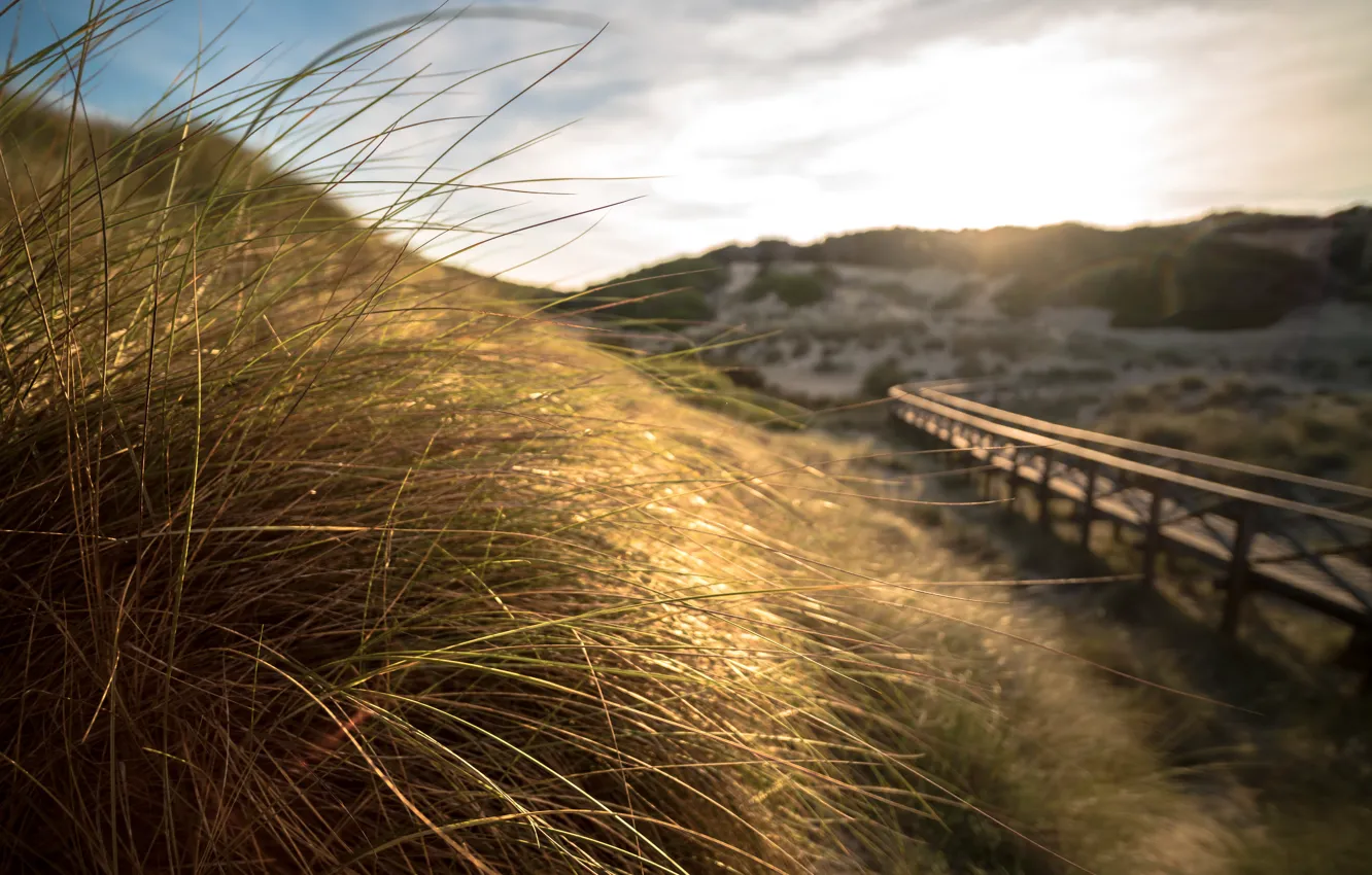 Фото обои Mallorca, dunes, Cala Mesquida