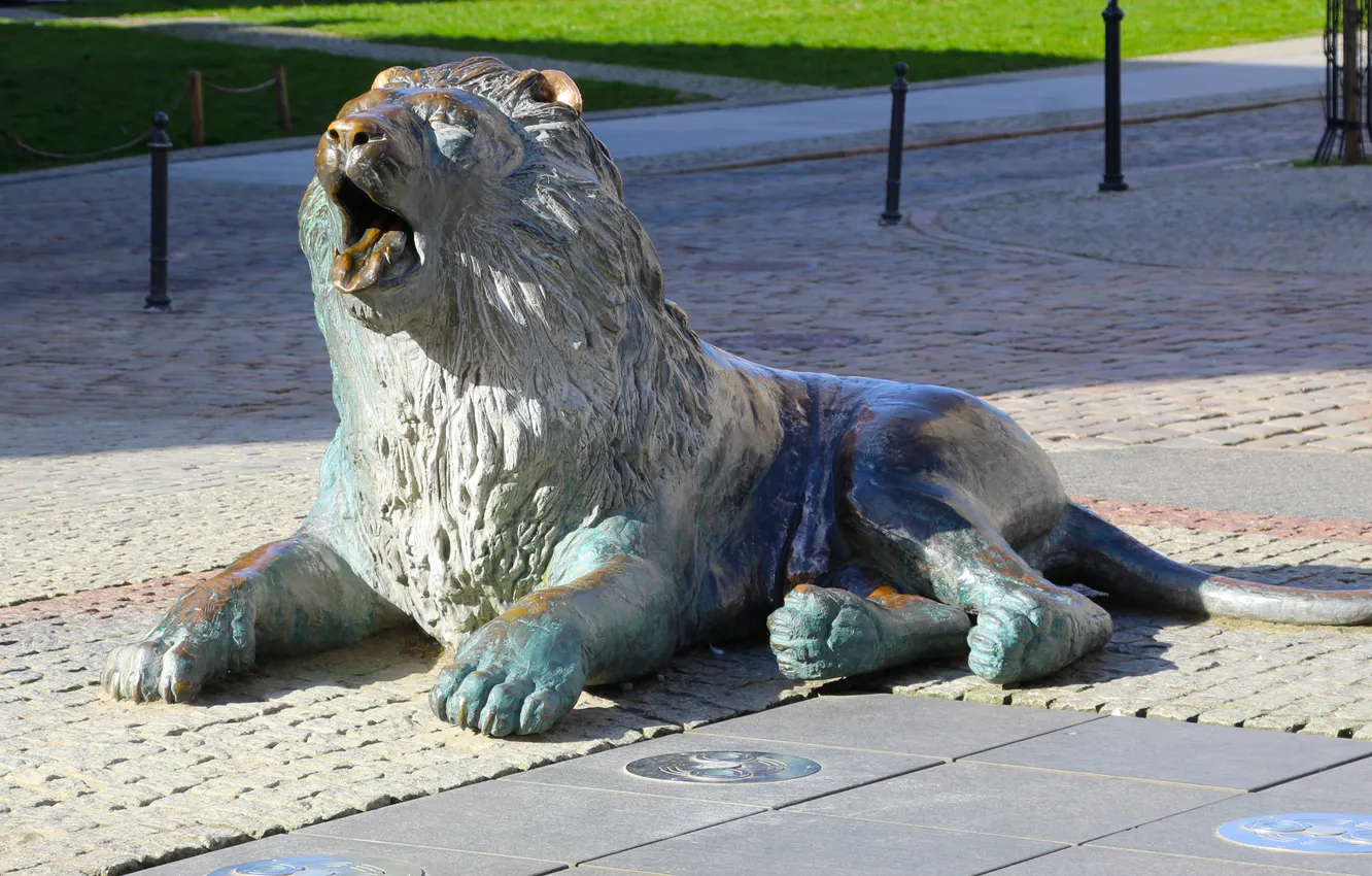 Фото обои lion, street, statua, monument