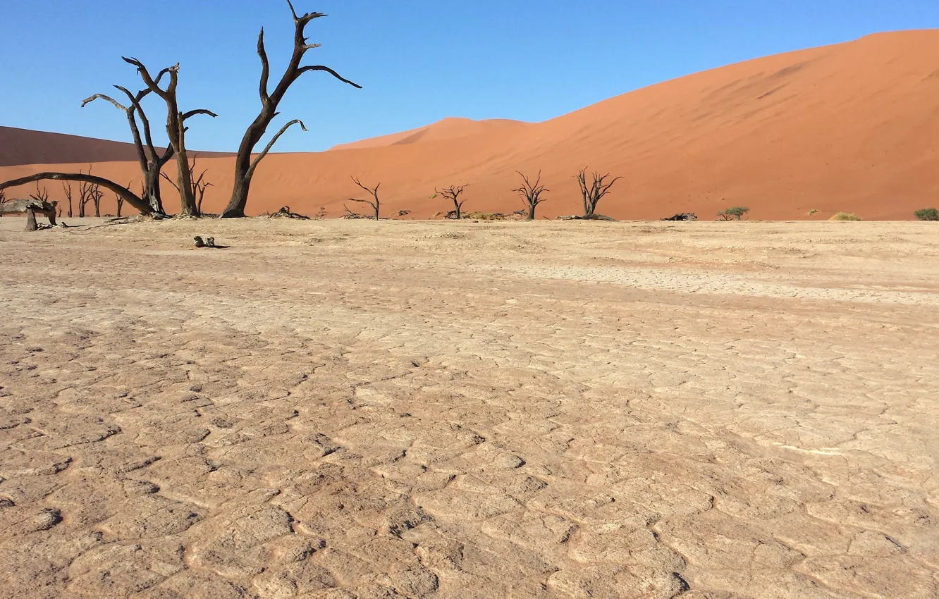 Фото обои песок, пустыня, Африка, Намибия