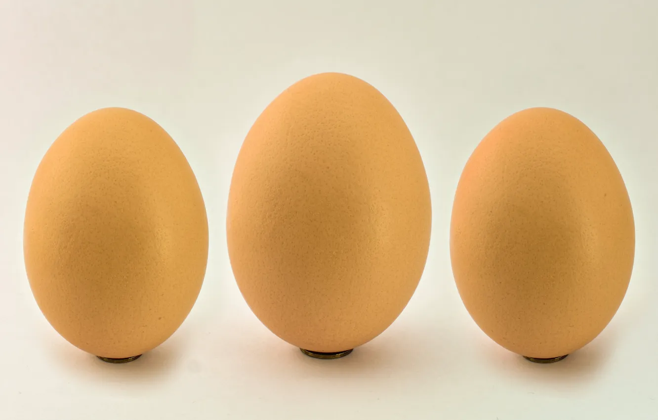 Фото обои фон, яйца, трио