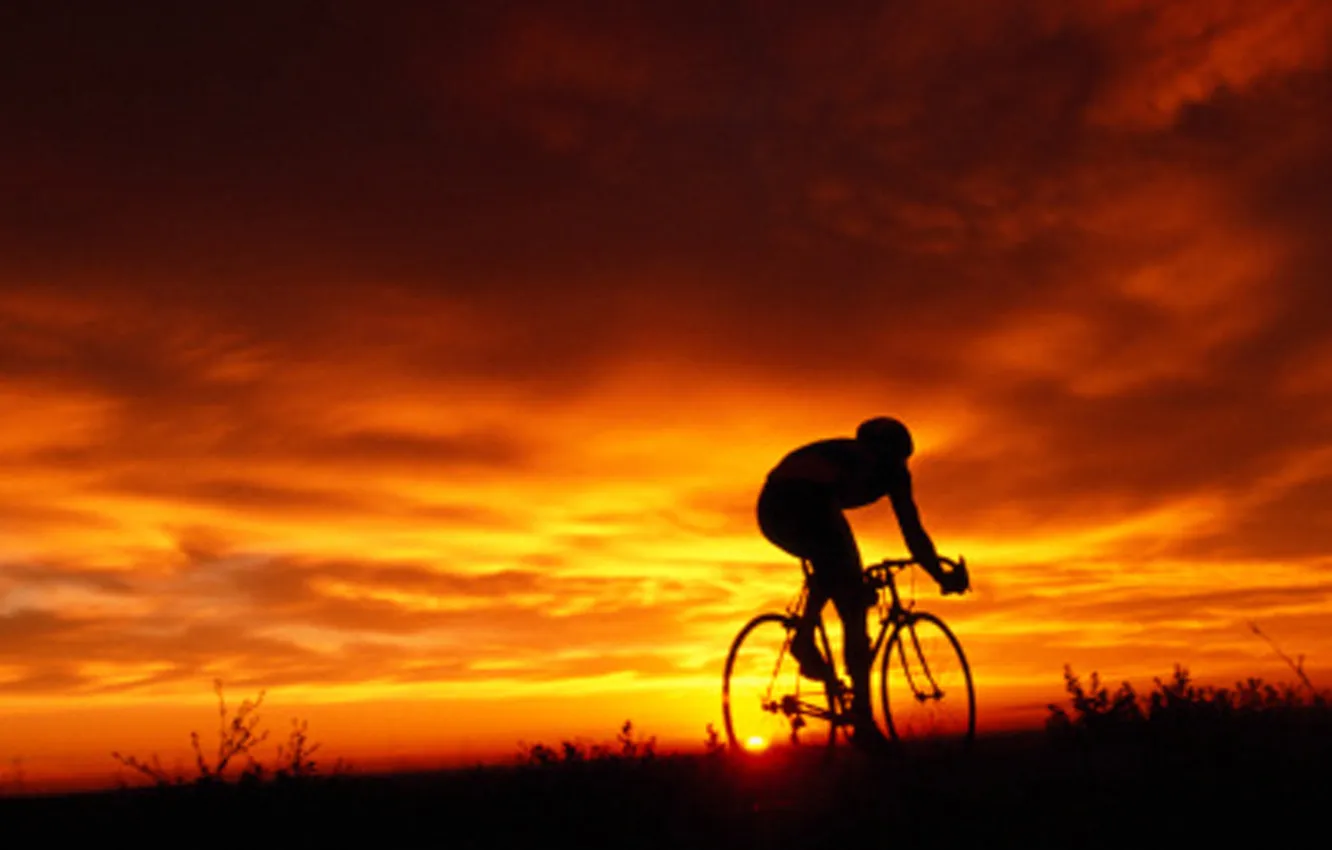 Фото обои поле, вечер, велосипедист