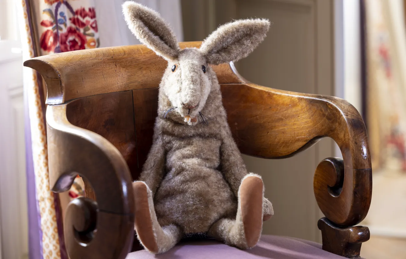 Фото обои Кресло, Отель, Заяц, Смешной, Заяц Конрад, Plush toy, Hare Konrad, Плюшевая игрушка