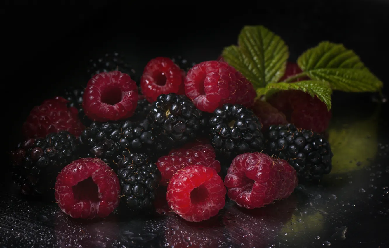 Фото обои ягоды, малина, фон, ежевика