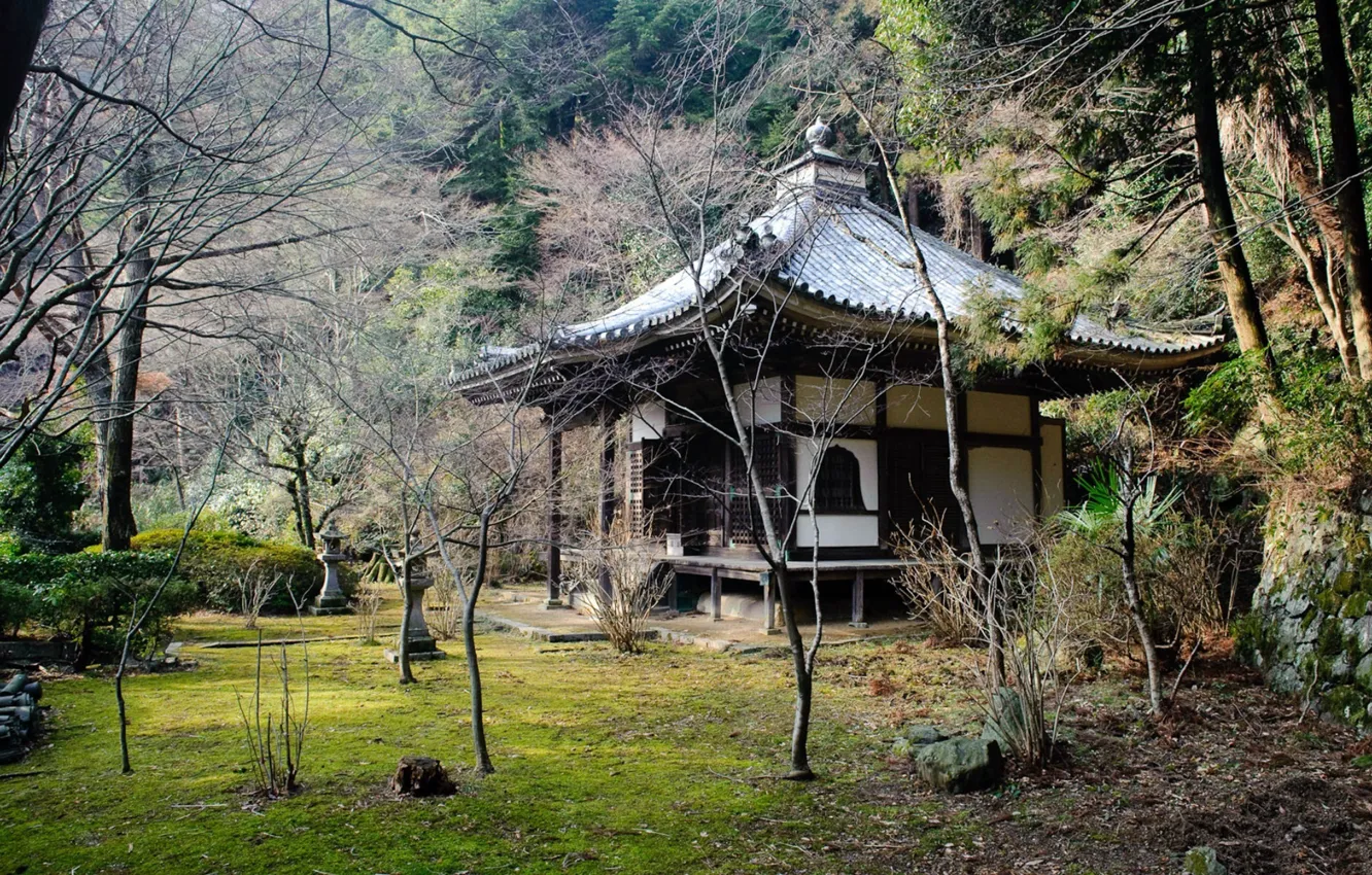 Фото обои крыша, деревья, храм, Japan