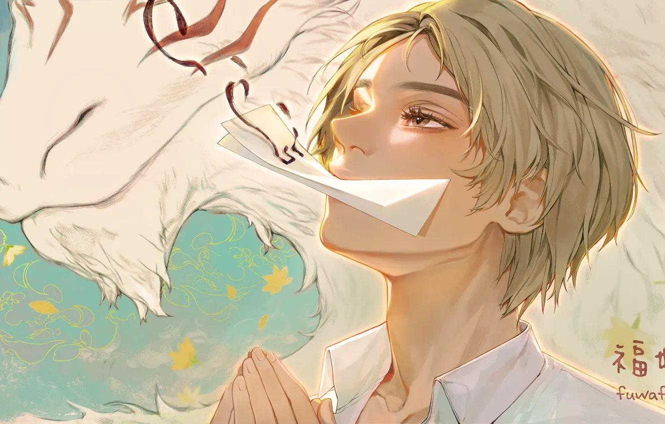 Фото обои волк, фэнтези, парень, Natsume Yuujinchou, Madara, Takashi Natsume