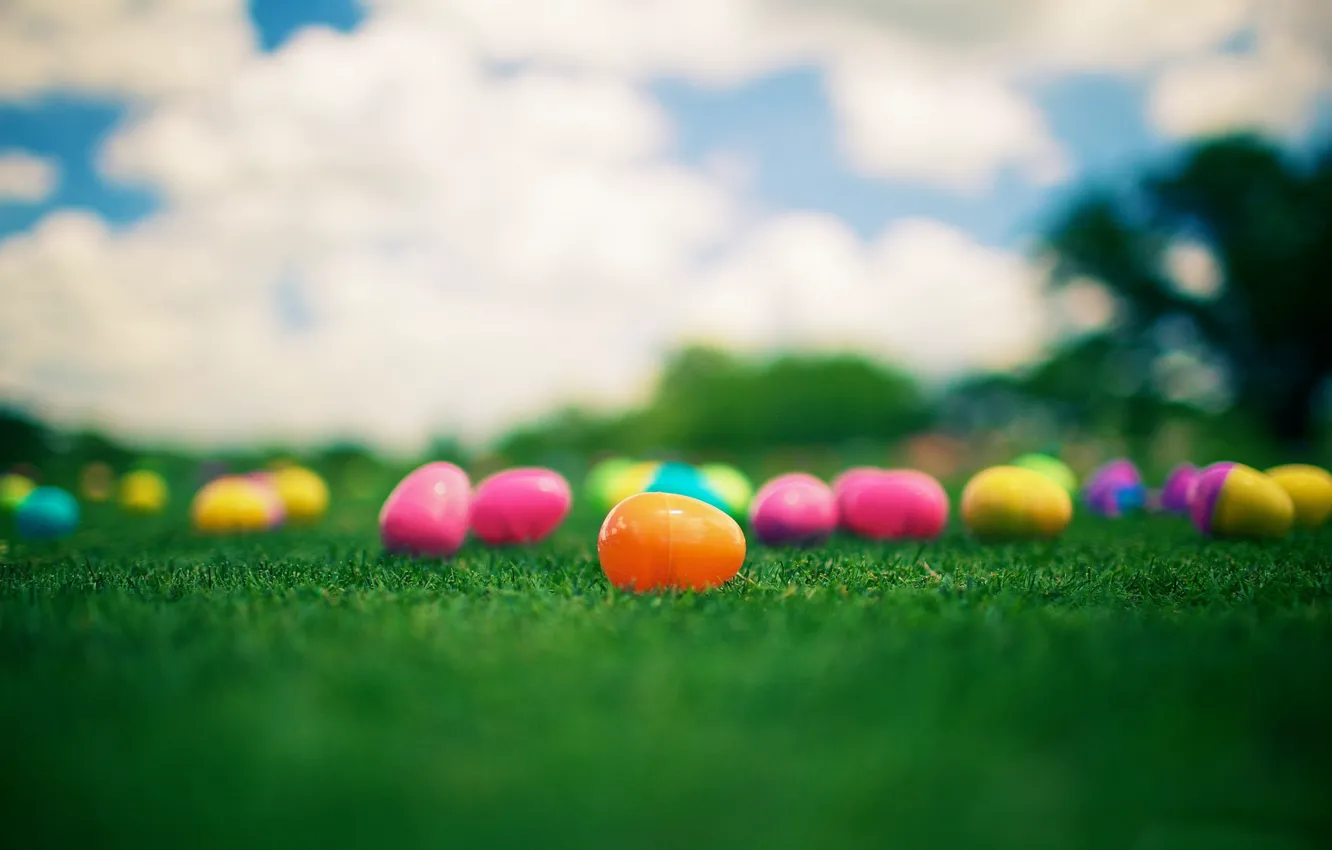 Фото обои трава, яйца, Пасха, разноцветные, Easter, Kinder Surprise, Киндер Сюрприз