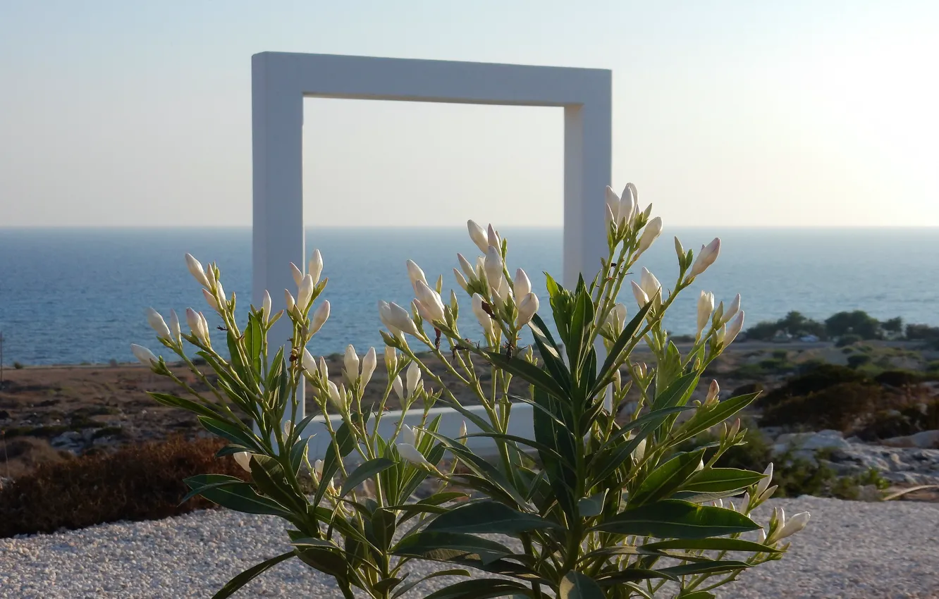 Фото обои море, небо, трава, пейзаж, цветы, widescreen, обои, растения