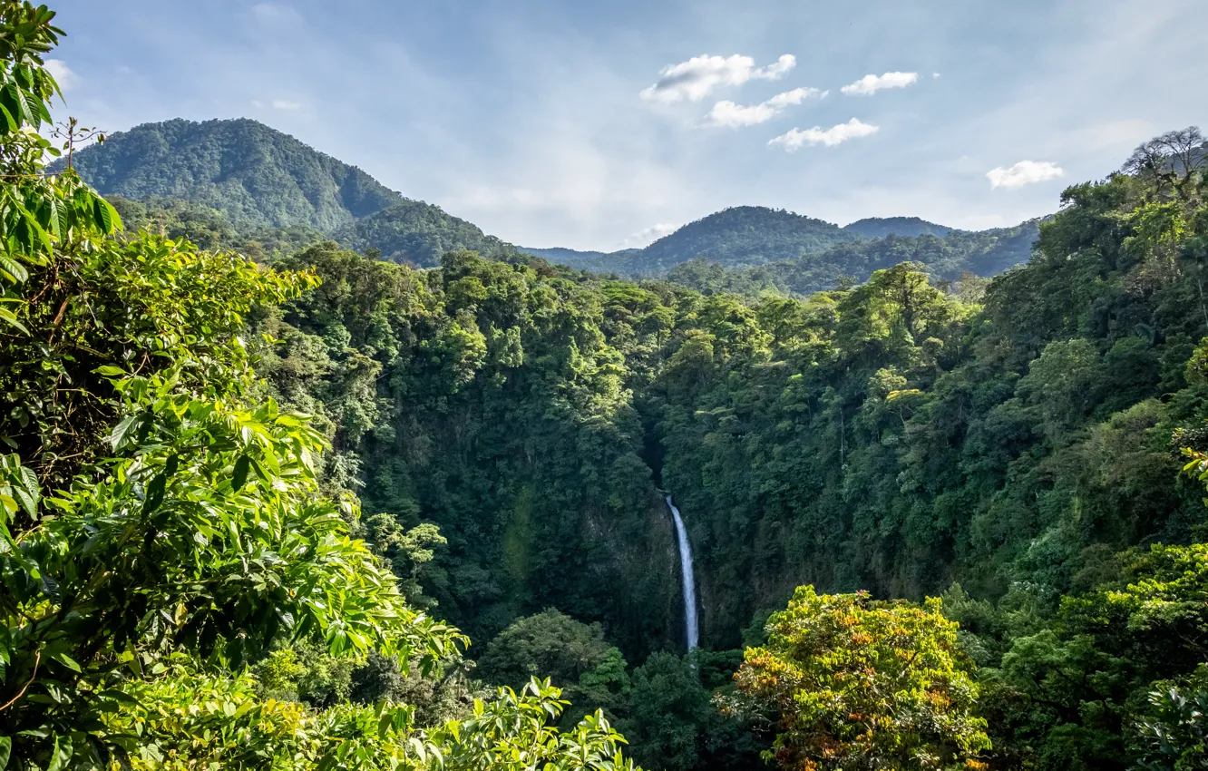 Фото обои Природа, Водопад, Лес, Джунгли, Пейзаж, Коста-Рика