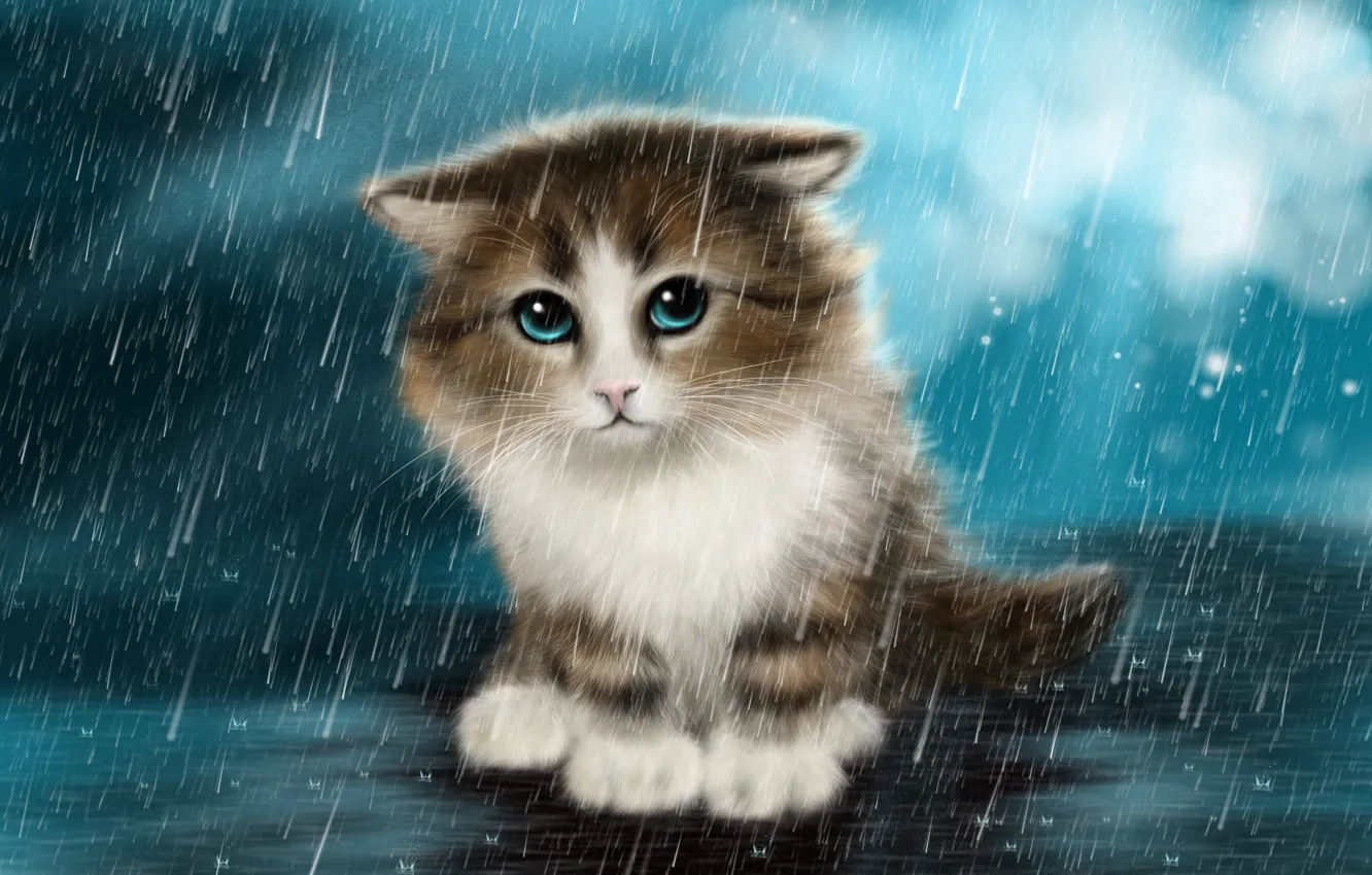 Фото обои Rain, Kitten, Sad, Small, Painted, Under