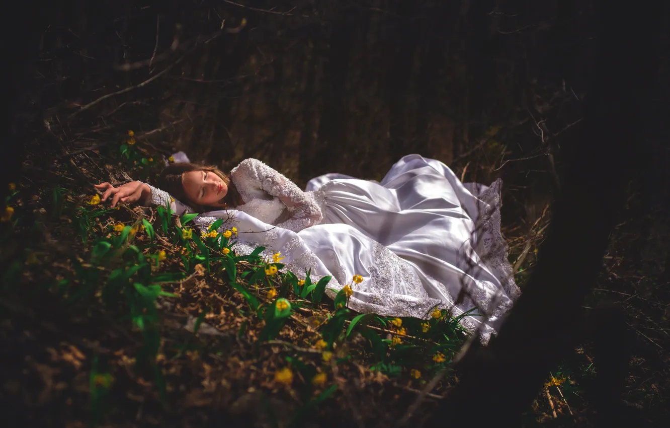 Фото обои лес, девушка, цветы, сон, ситуация, платье, спящая красавица