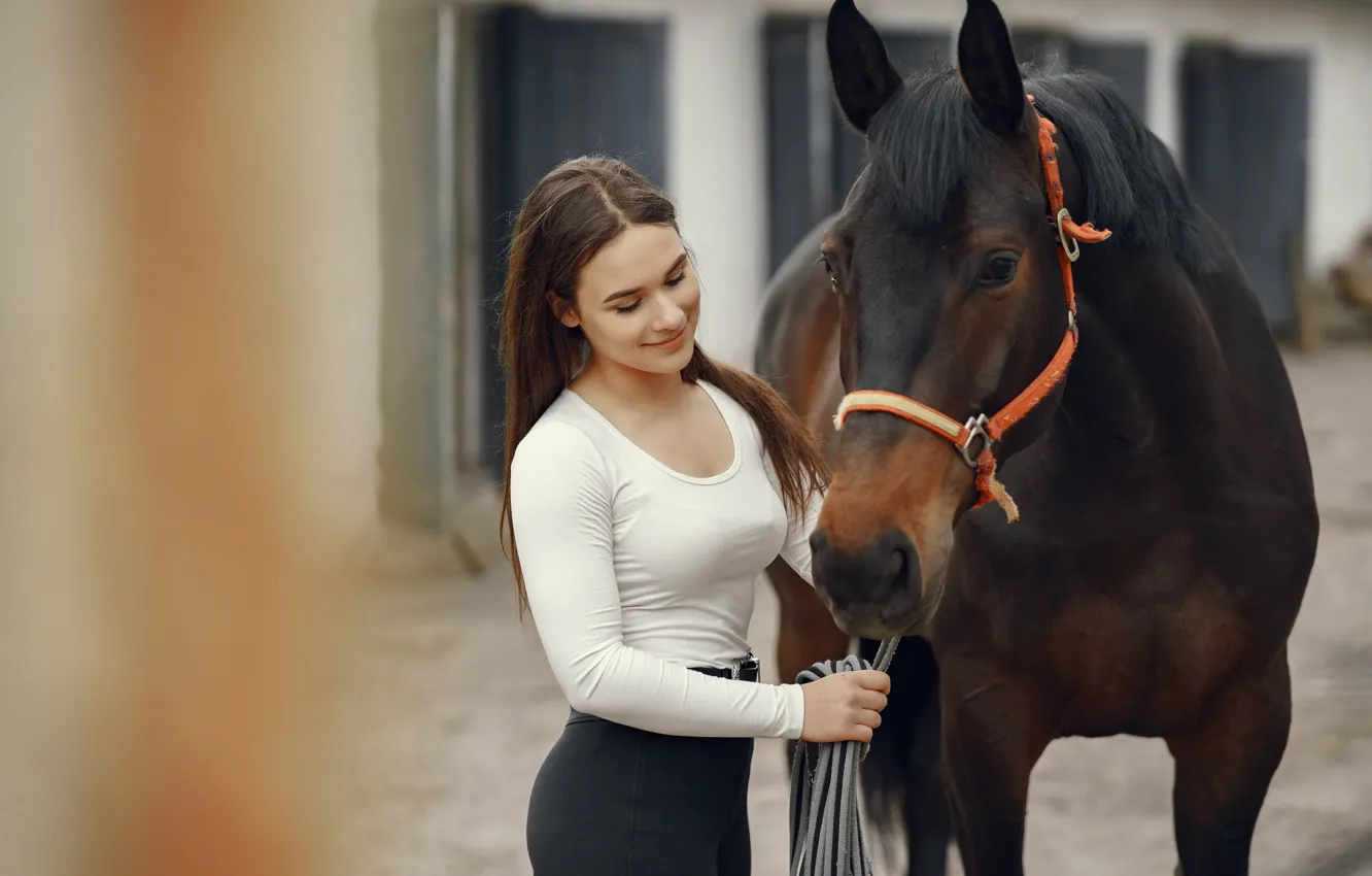 Фото обои девушка, улыбка, друг, конь, лошадь, блузка, шатенка, стоит