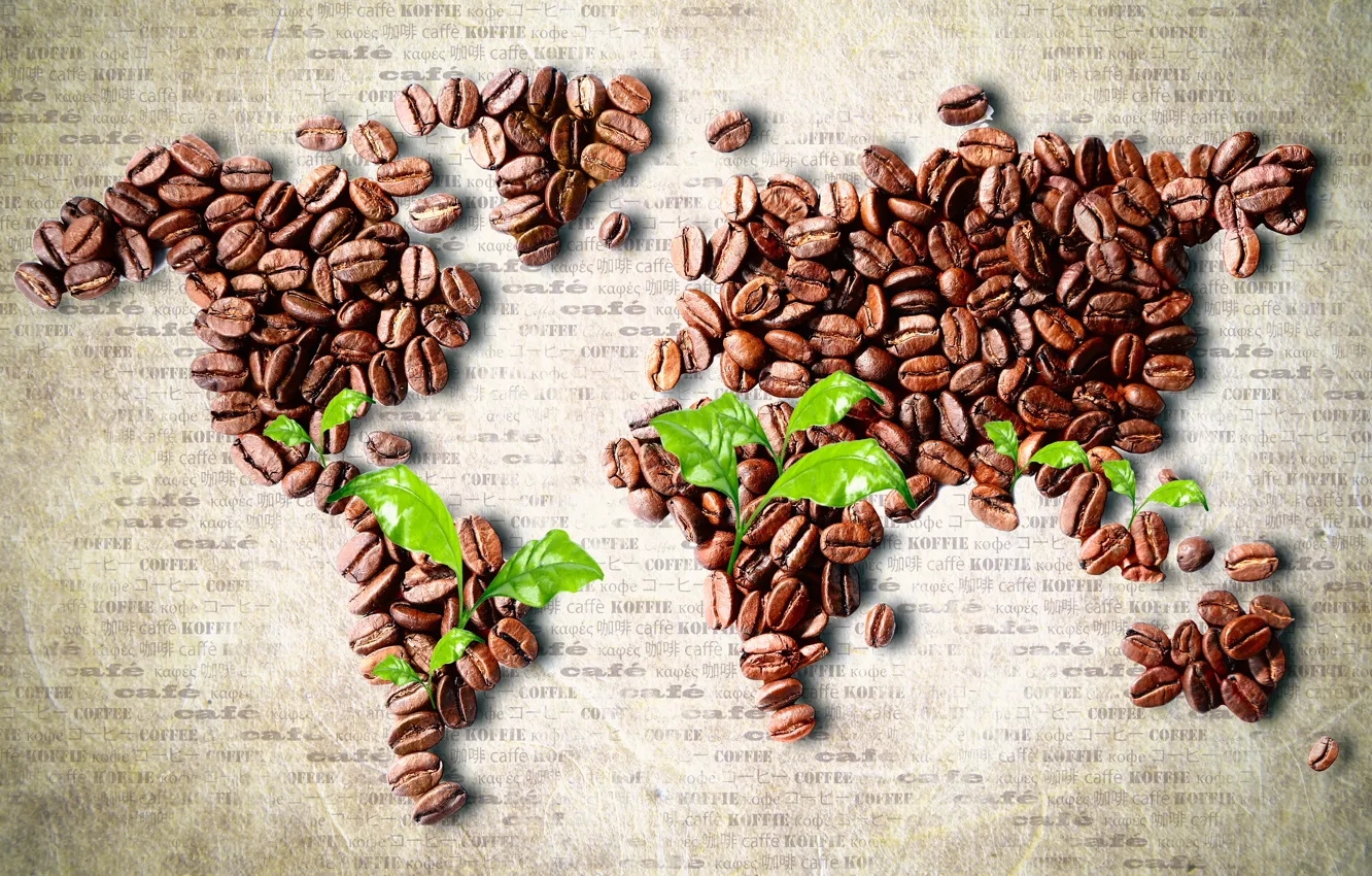 Фото обои листья, кофе, карта, зерна, континенты