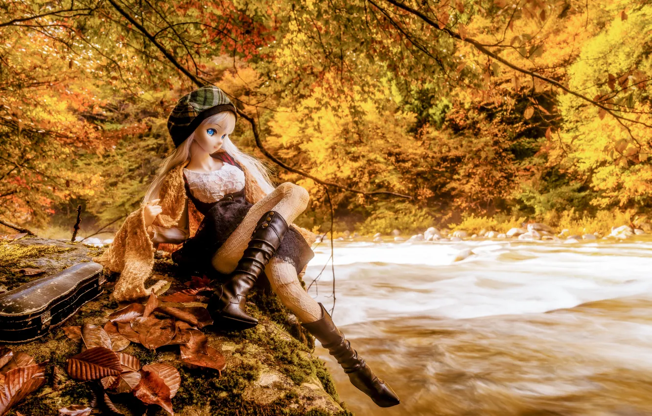 Фото обои осень, листья, деревья, река, скрипка, игрушка, кукла
