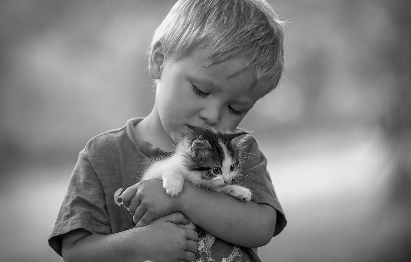 Фото обои любовь, настроение, мальчик, чёрно-белая, дружба, котёнок, друзья, монохром