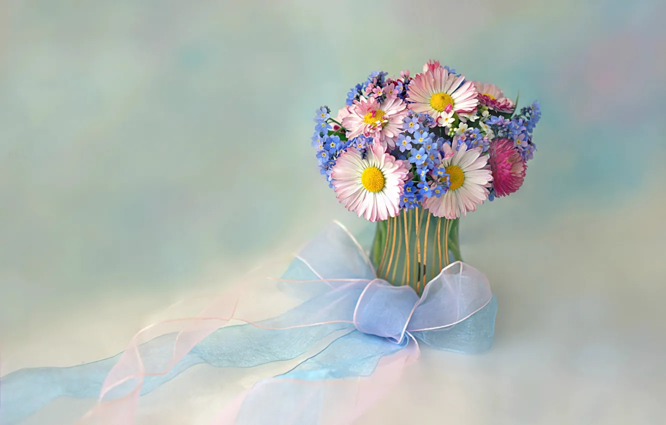 Фото обои цветы, ленты, букет, бант, незабудки, вазочка, маргаритки