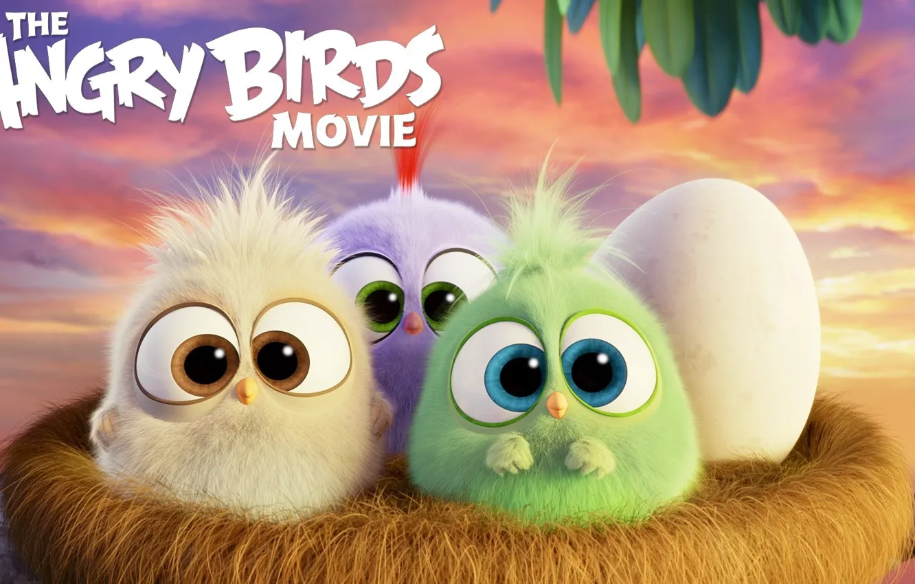 Фото обои мультфильм, яйцо, гнездо, птички, Angry Birds Movie