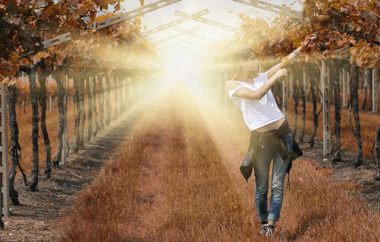 Фото обои трава, девушка, свет, виноградник, photographer, Giovanni Zacche