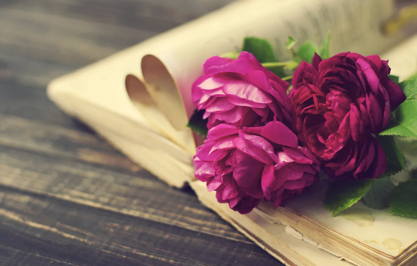 Фото обои vintage, wood, flowers, beautiful, пионы, purple, book, peony
