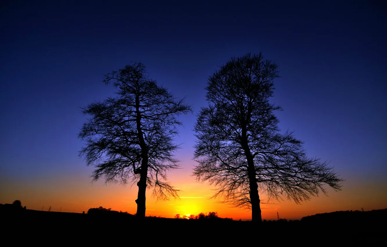 Фото обои небо, деревья, закат, силуэт, зарево