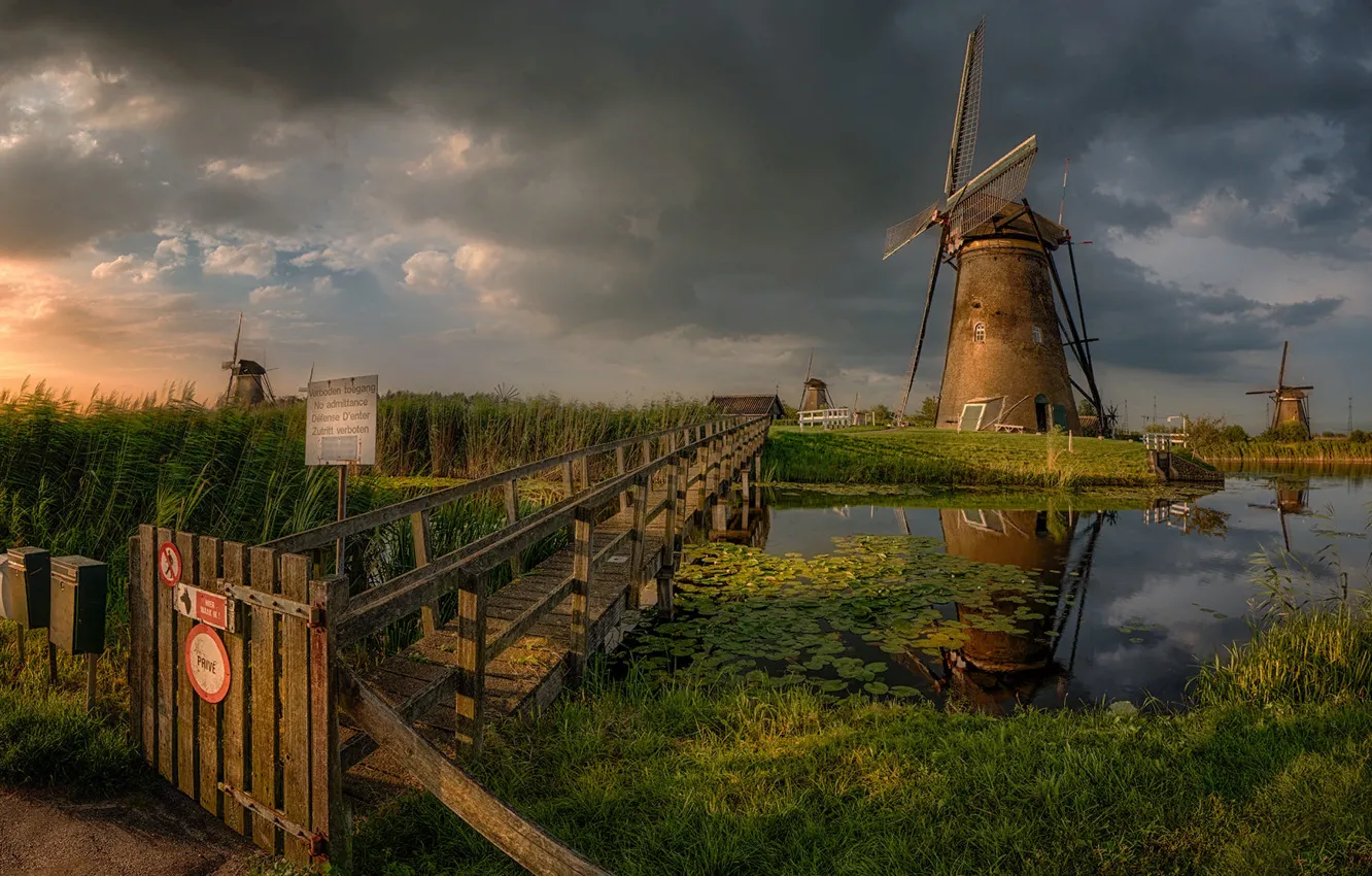 Фото обои небо, пейзаж, тучи, природа, пруд, мельница, травы, Нидерланды