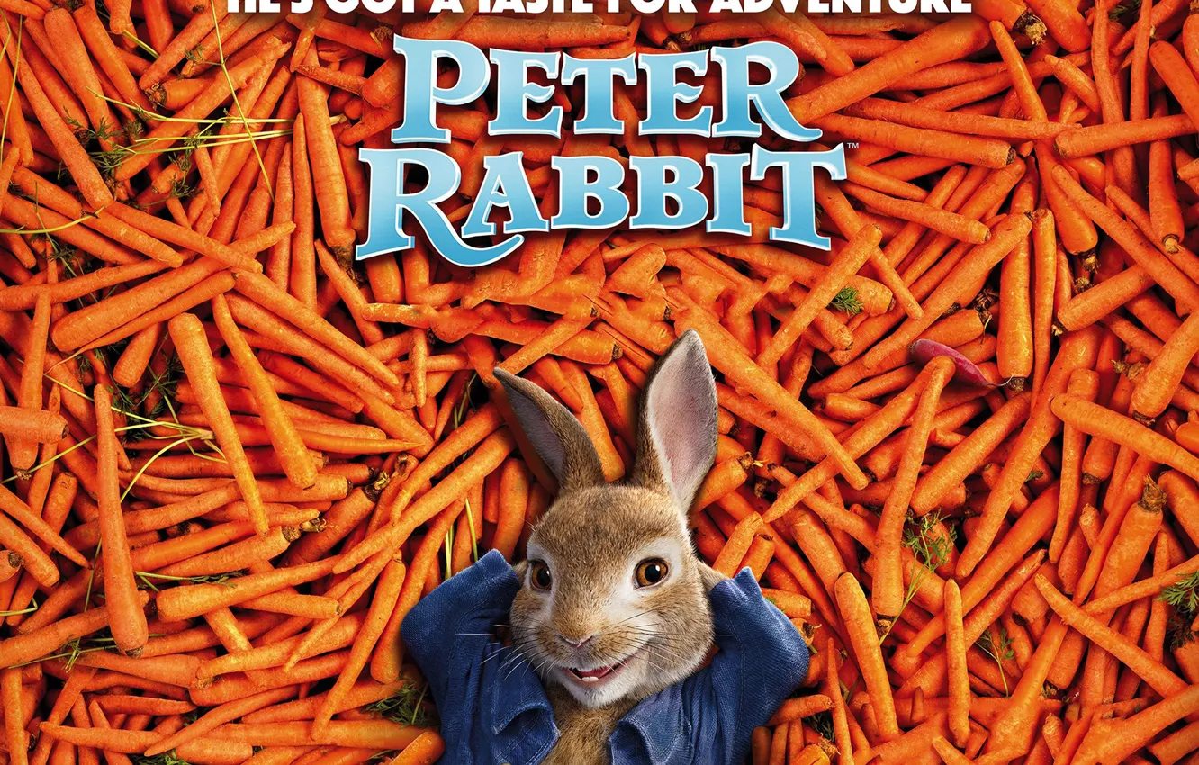Фото обои кролик, морковь, Peter Rabbit