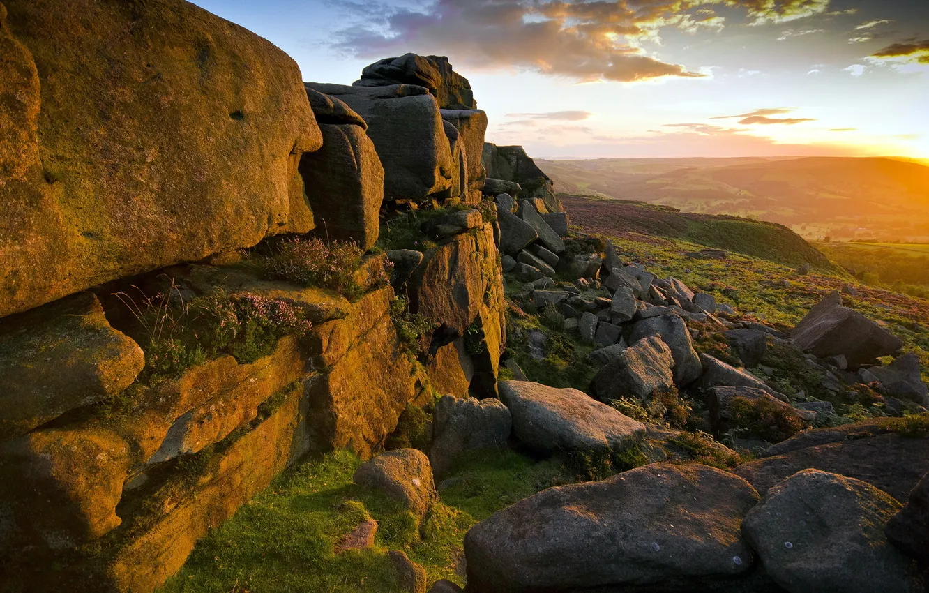 Фото обои свет, пейзаж, закат, цветы, горы