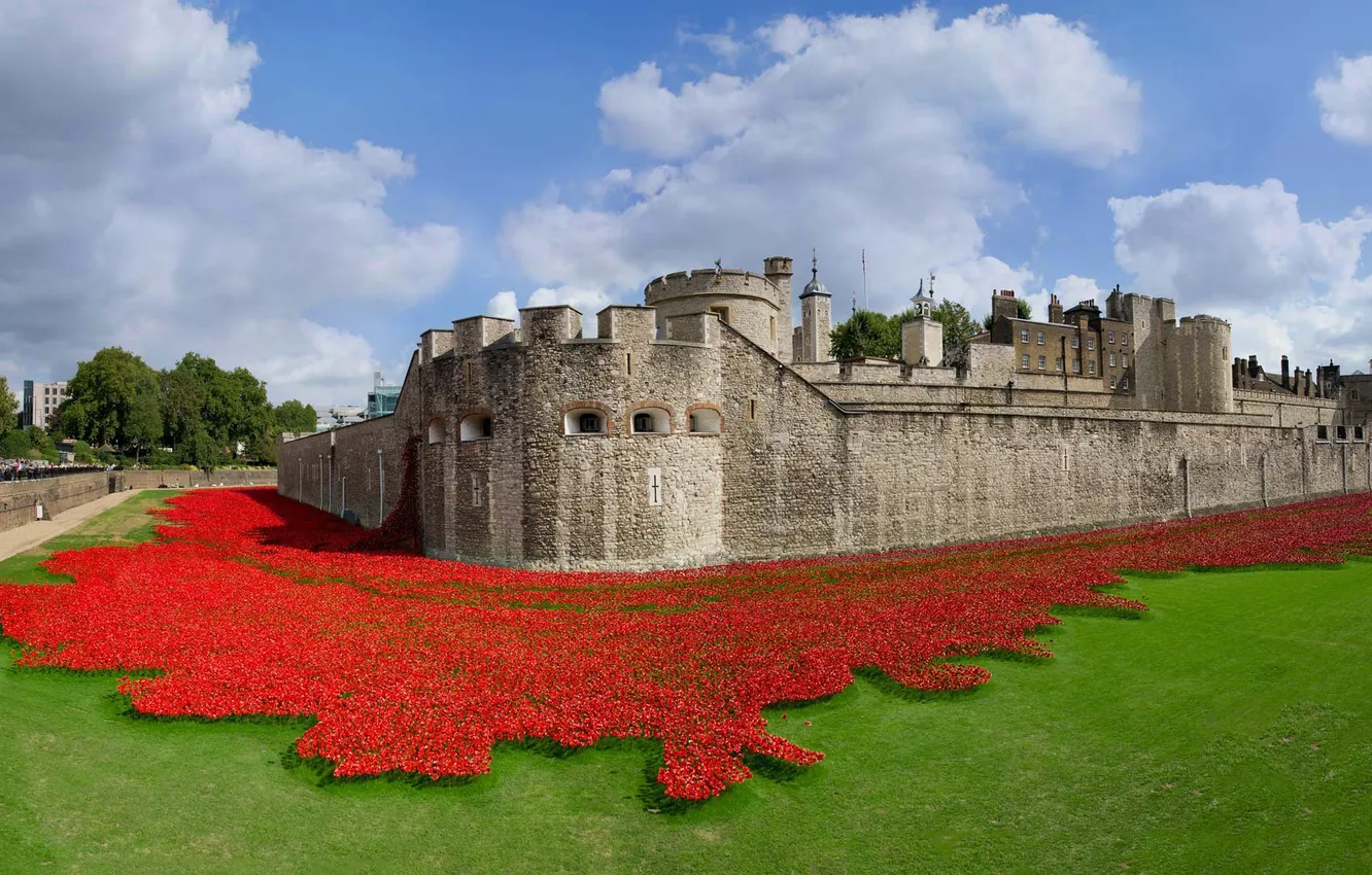 Фото обои Англия, Лондон, крепость, Тауэр, арт-инсталляция, керамические маки, 100-летие начала Первой мировой войны, Paul Cummins