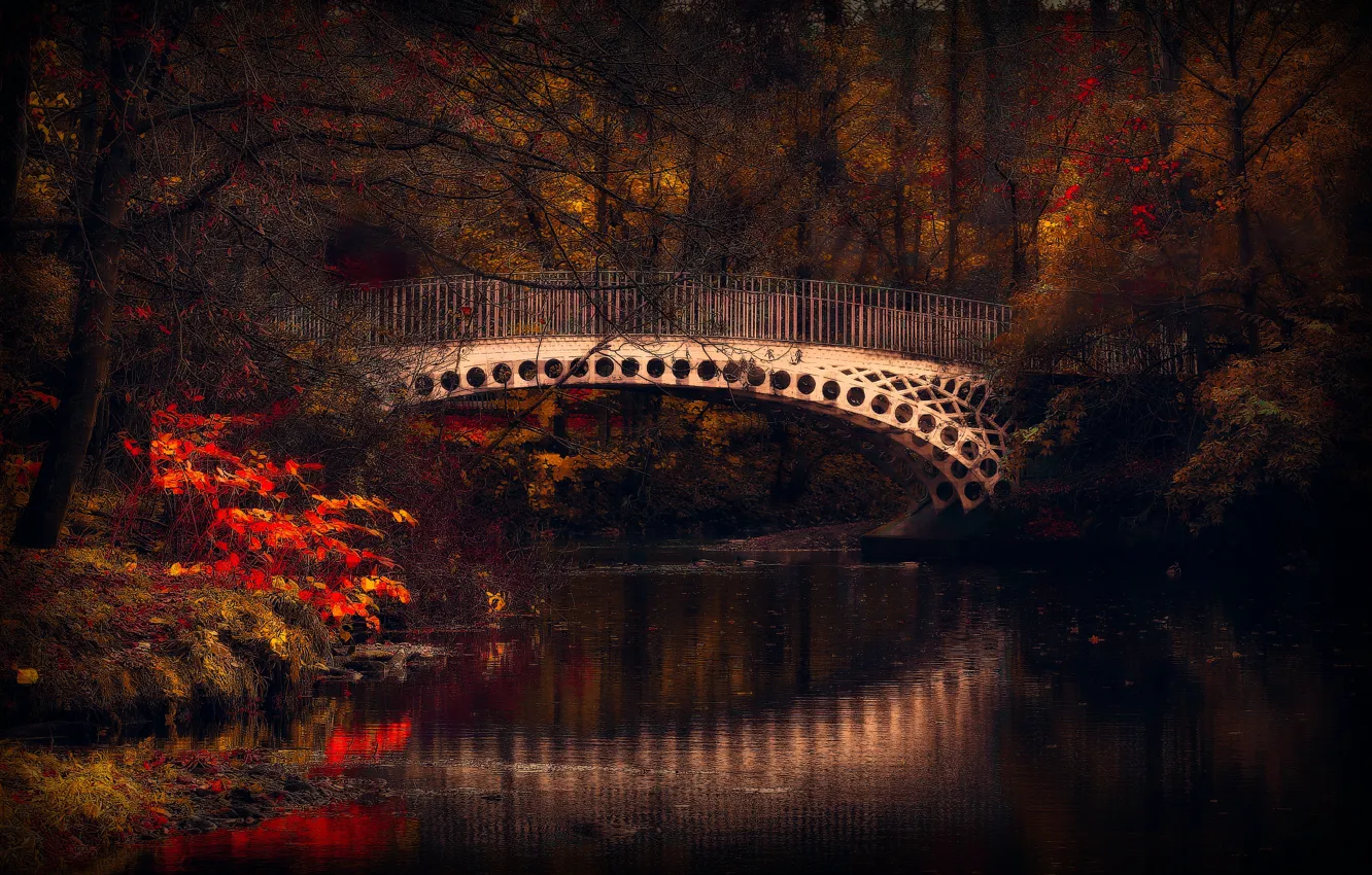 Фото обои осень, деревья, красота, речка, мостик