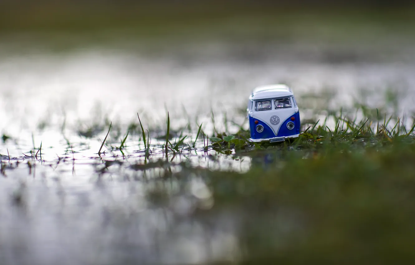 Фото обои машина, трава, синий, природа, игрушка, Volkswagen, лужа, автобус